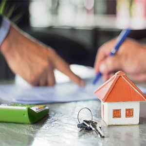 Inherited Patta 300x300